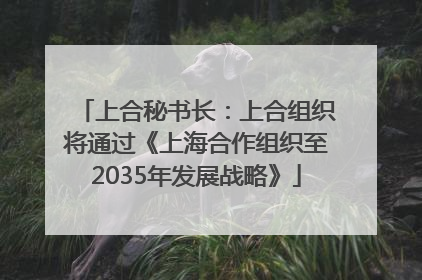 上合秘书长：上合组织将通过《上海合作组织至2035年发展战略》