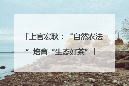 上官宏耿：“自然农法”培育“生态好茶”