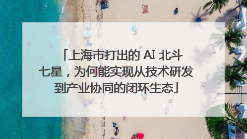 上海市打出的 AI 北斗七星，为何能实现从技术研发到产业协同的闭环生态