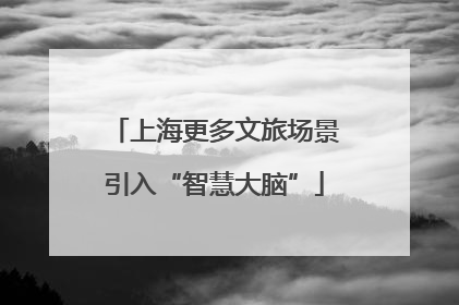上海更多文旅场景引入“智慧大脑”
