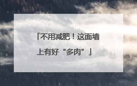 不用减肥！这面墙上有好“多肉”