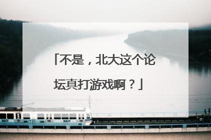 不是，北大这个论坛真打游戏啊？