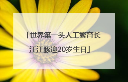 世界第一头人工繁育长江江豚迎20岁生日