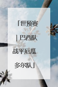 世预赛｜巴西队战平厄瓜多尔队