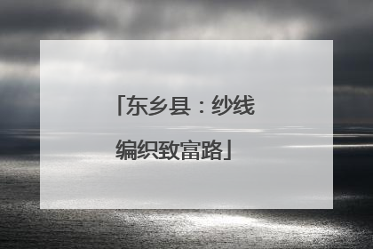 东乡县：纱线编织致富路