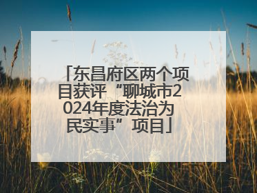 东昌府区两个项目获评“聊城市2024年度法治为民实事”项目