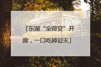 东湖“全荷宴”开席，一口吃掉夏天