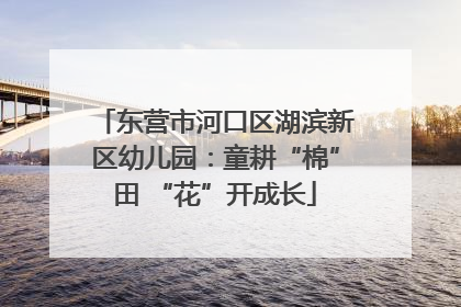 东营市河口区湖滨新区幼儿园：童耕“棉”田 “花”开成长