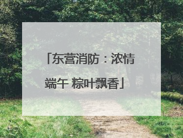 东营消防：浓情端午 粽叶飘香