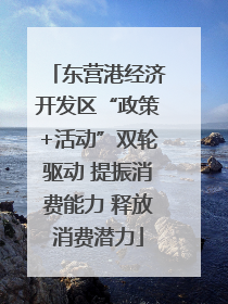 东营港经济开发区“政策+活动”双轮驱动 提振消费能力 释放消费潜力