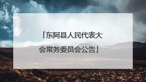 东阿县人民代表大会常务委员会公告