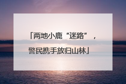 两地小鹿“迷路”，警民携手放归山林
