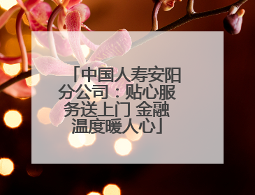 中国人寿安阳分公司：贴心服务送上门 金融温度暖人心