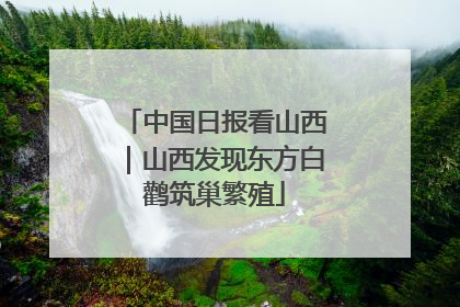 中国日报看山西｜山西发现东方白鹳筑巢繁殖