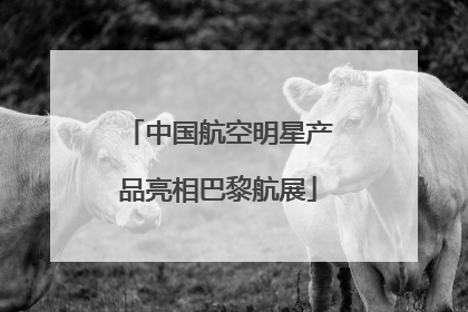 中国航空明星产品亮相巴黎航展