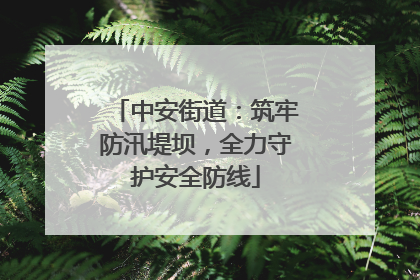 中安街道：筑牢防汛堤坝，全力守护安全防线