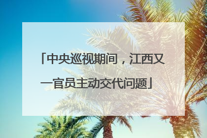 中央巡视期间，江西又一官员主动交代问题