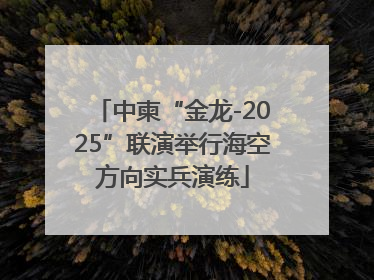 中柬“金龙-2025”联演举行海空方向实兵演练