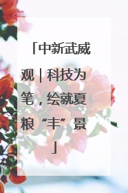 中新武威观｜科技为笔，绘就夏粮“丰”景
