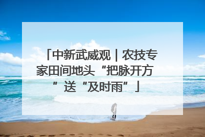 中新武威观｜农技专家田间地头“把脉开方”送“及时雨”