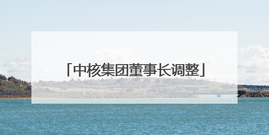 中核集团董事长调整