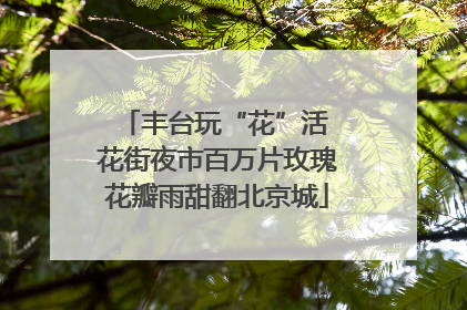 丰台玩“花”活 花街夜市百万片玫瑰花瓣雨甜翻北京城