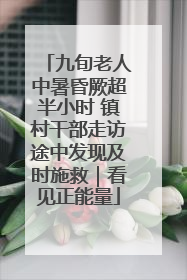 九旬老人中暑昏厥超半小时 镇村干部走访途中发现及时施救｜看见正能量