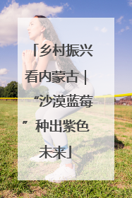 乡村振兴看内蒙古｜“沙漠蓝莓”种出紫色未来