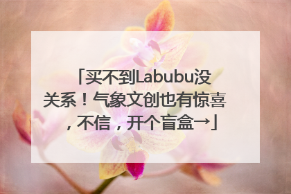 买不到Labubu没关系！气象文创也有惊喜，不信，开个盲盒→
