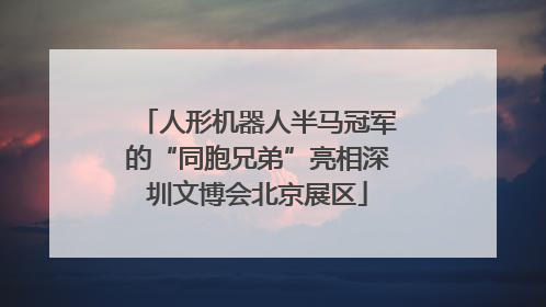 人形机器人半马冠军的“同胞兄弟”亮相深圳文博会北京展区