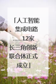 人工智能、集成电路……12家长三角创新联合体正式成立