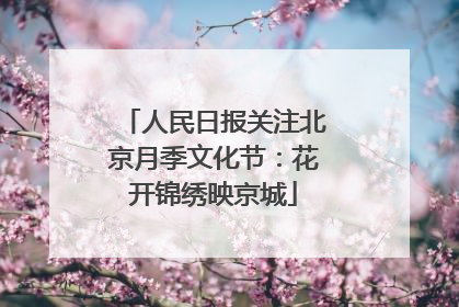 人民日报关注北京月季文化节：花开锦绣映京城