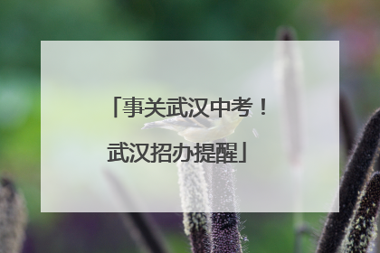 事关武汉中考！武汉招办提醒