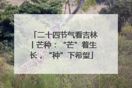 二十四节气看吉林丨芒种：“芒”着生长，“种”下希望