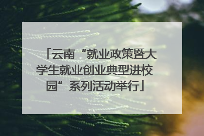 云南“就业政策暨大学生就业创业典型进校园”系列活动举行