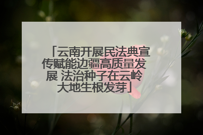 云南开展民法典宣传赋能边疆高质量发展 法治种子在云岭大地生根发芽