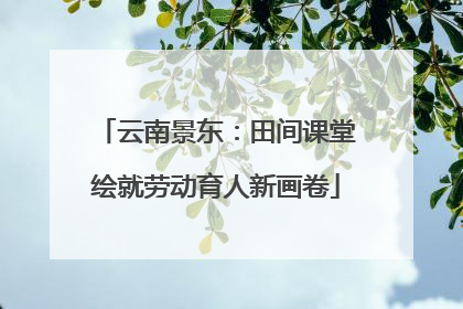 云南景东：田间课堂绘就劳动育人新画卷