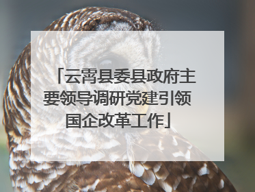 云霄县委县政府主要领导调研党建引领国企改革工作