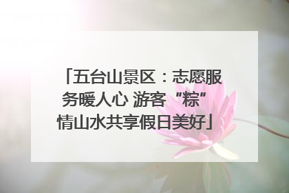 五台山景区：志愿服务暖人心 游客“粽”情山水共享假日美好