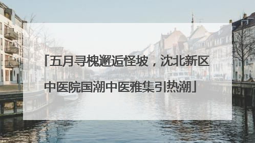 五月寻槐邂逅怪坡，沈北新区中医院国潮中医雅集引热潮