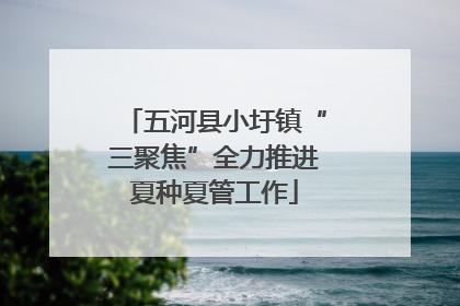 五河县小圩镇“三聚焦”全力推进夏种夏管工作