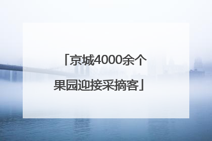 京城4000余个果园迎接采摘客