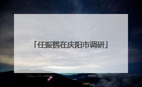 任振鹤在庆阳市调研