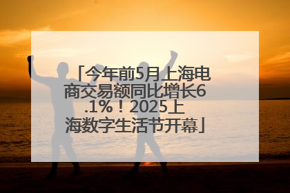 今年前5月上海电商交易额同比增长6.1%！2025上海数字生活节开幕