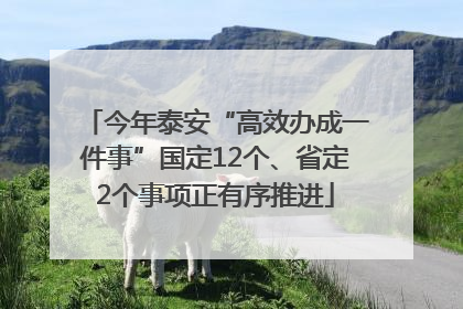 今年泰安“高效办成一件事”国定12个、省定2个事项正有序推进