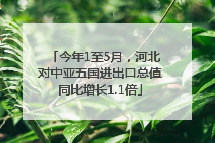 今年1至5月，河北对中亚五国进出口总值同比增长1.1倍