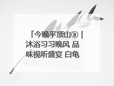 今晚平顶山⑧｜沐浴习习晚风 品味视听盛宴 白龟湖畔·草坪音乐会激情上演
