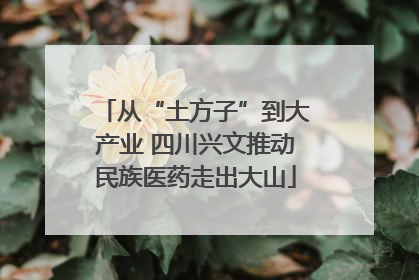 从“土方子”到大产业 四川兴文推动民族医药走出大山