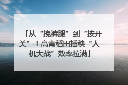 从“挽裤腿”到“按开关”！高青稻田插秧“人机大战”效率拉满