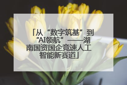 从“数字筑基”到“AI领航”——湖南国资国企竞速人工智能新赛道